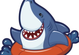 食品原料小百科：硫酸軟骨素可以用在什么地方？