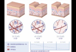 水潤皮膚的秘密武器，乙酰殼糖胺和透明質(zhì)酸的甜蜜聯(lián)盟！